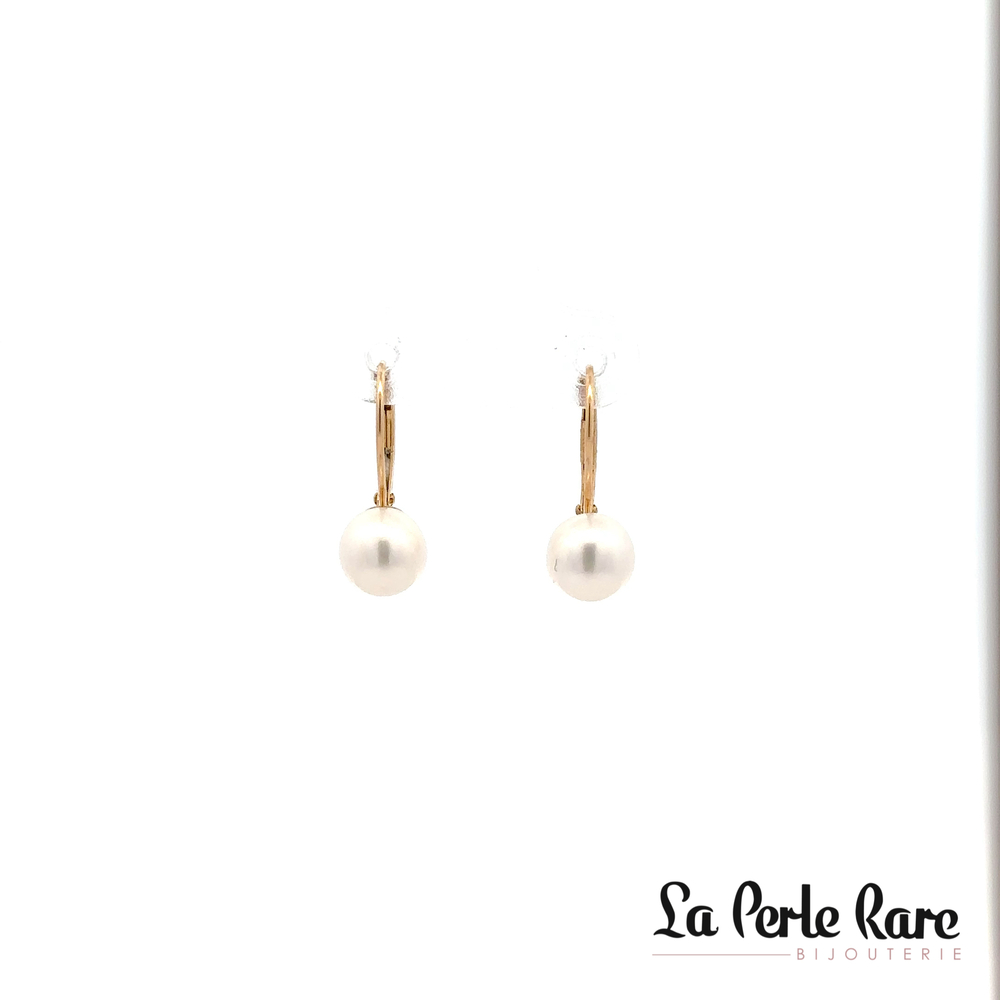 Yellow Gold Earrings with 7-7.5 mm Pearls - PR14-LB-775 - Pretty Pearl