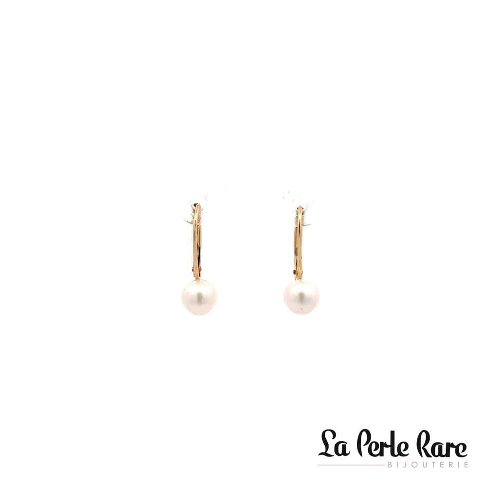 Yellow Gold Earrings with 6-6.5 mm Pearls