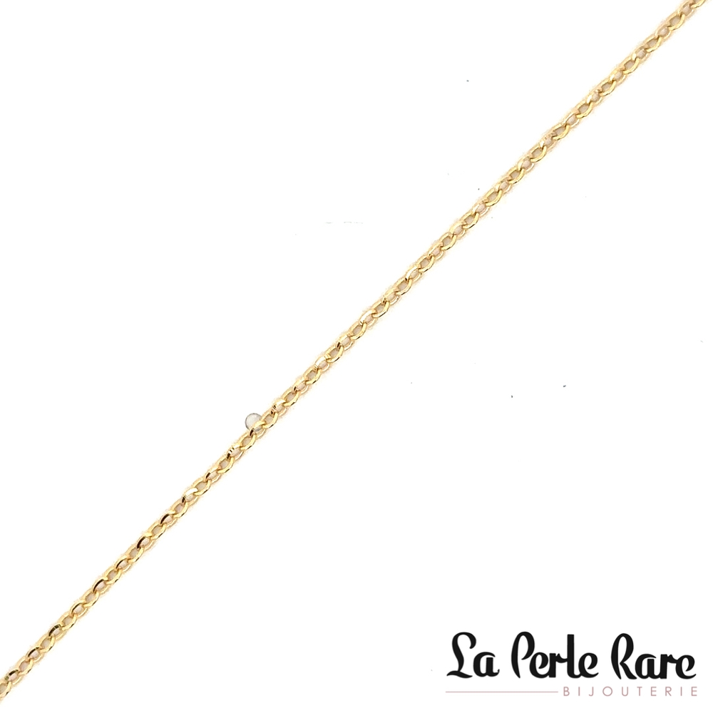 10K Yellow Gold Rolo Anklet - LPR-2897-10 - Exclusivity