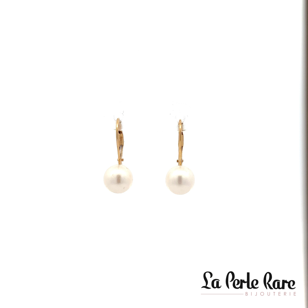 Yellow Gold Earrings with 8-8.5 mm Pearls - PR14-LB-885 - Pretty Pearl
