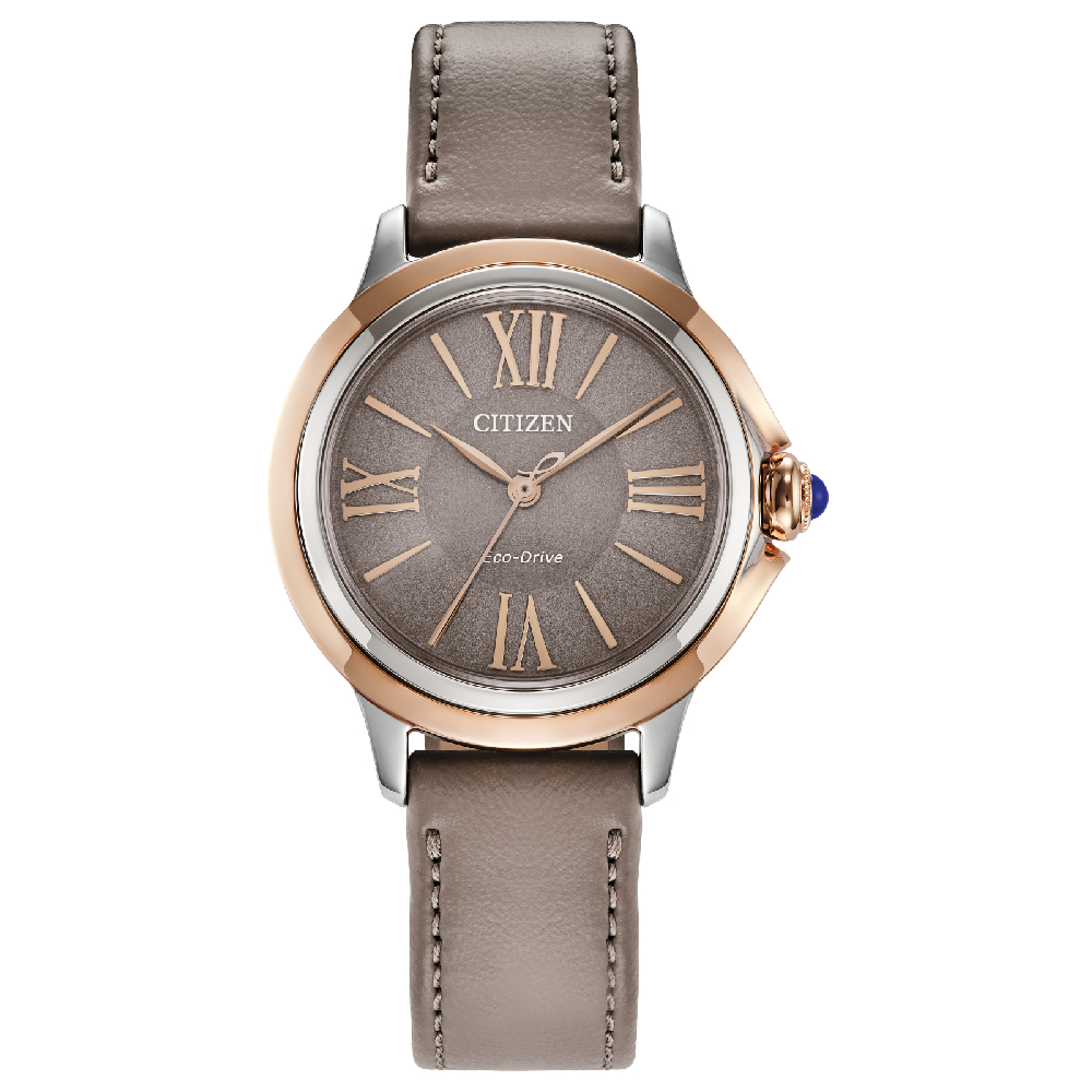  - EM1166-01Z - Citizen