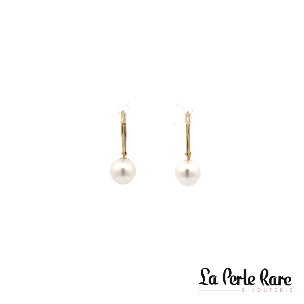 Yellow Gold Earrings with 6.5-7 mm Pearls - PR14-LB-657 - Pretty Pearl
