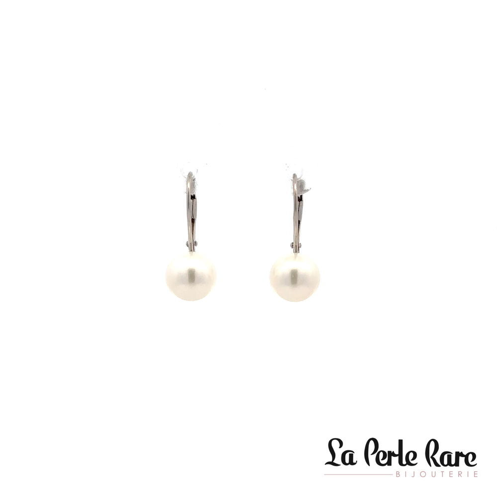 White Gold Earrings with 8-8.5 mm Pearls - PR14W-LB-885 - Pretty Pearl