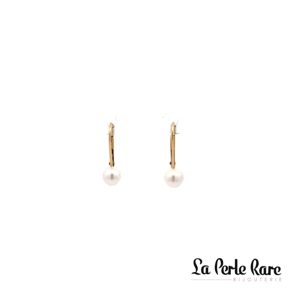 Yellow Gold Earrings with 5-5.5 mm Pearls - PR14-LB-555 - Pretty Pearl